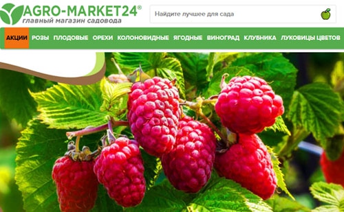 Официальный сайт Agro-market24 Ru Агро Маркет24